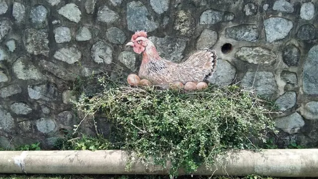 6 Mural Unik di Desa Ini Buat Suasana Makin Hidup