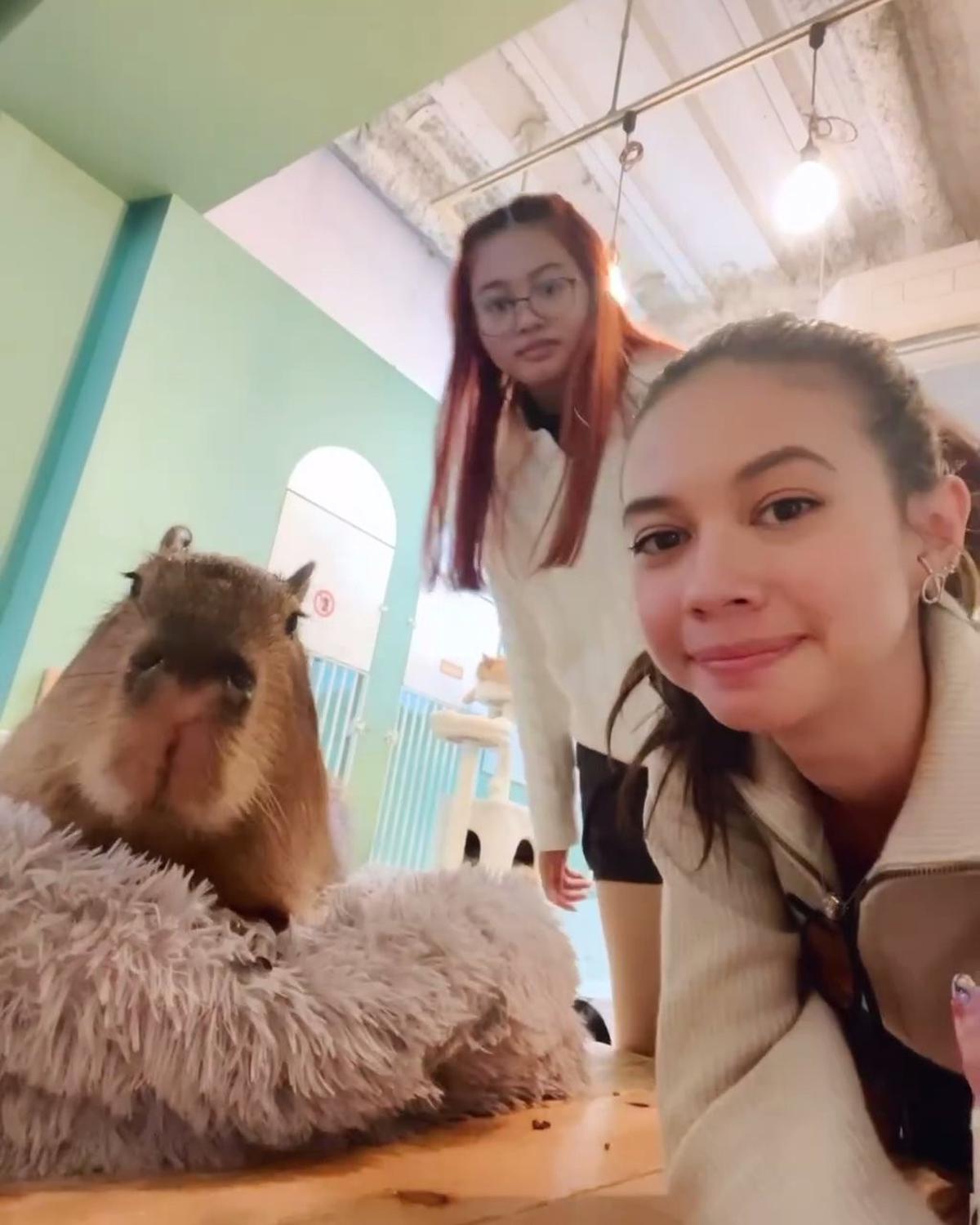 7 Potret Keseruan Yuki Kato Bareng Kapibara, Netizen: Jadi Keinget Jennie BLACKPINK