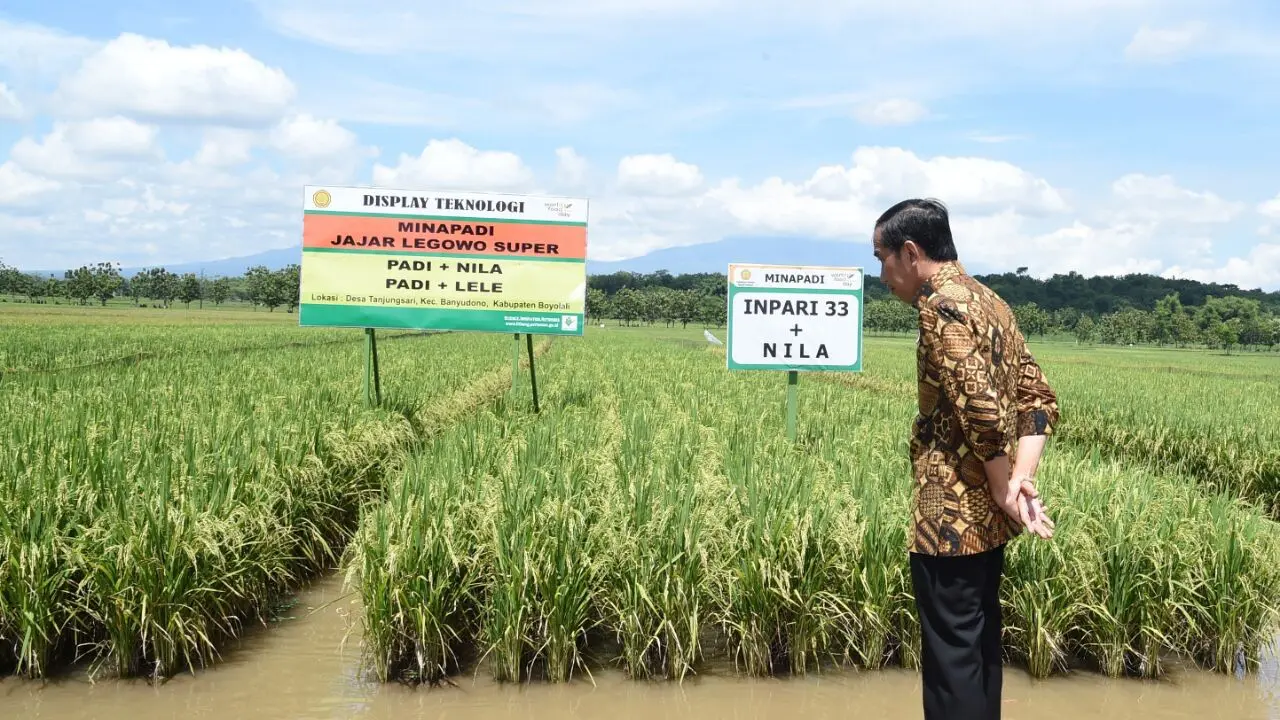 Jokowi