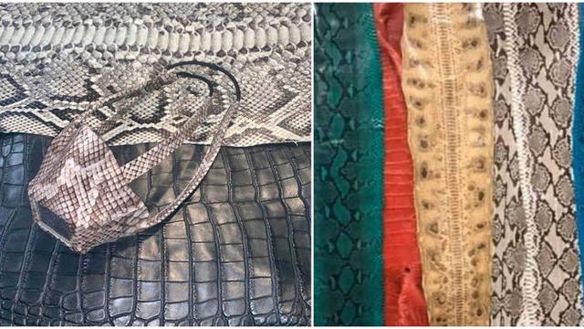Hanya untuk Gaya, Masker Kulit Ular dan Buaya Dibanderol Rp 1,8 Juta