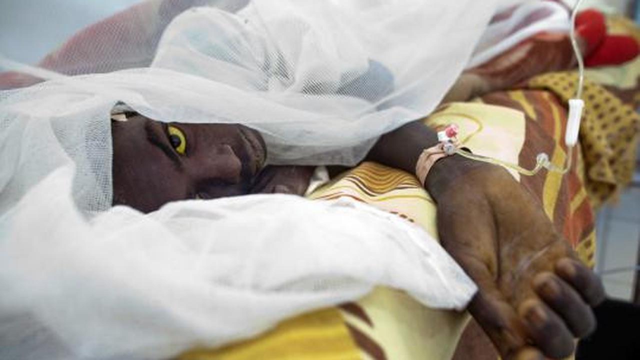 Wabah demam kuning di Sudan semakin parah