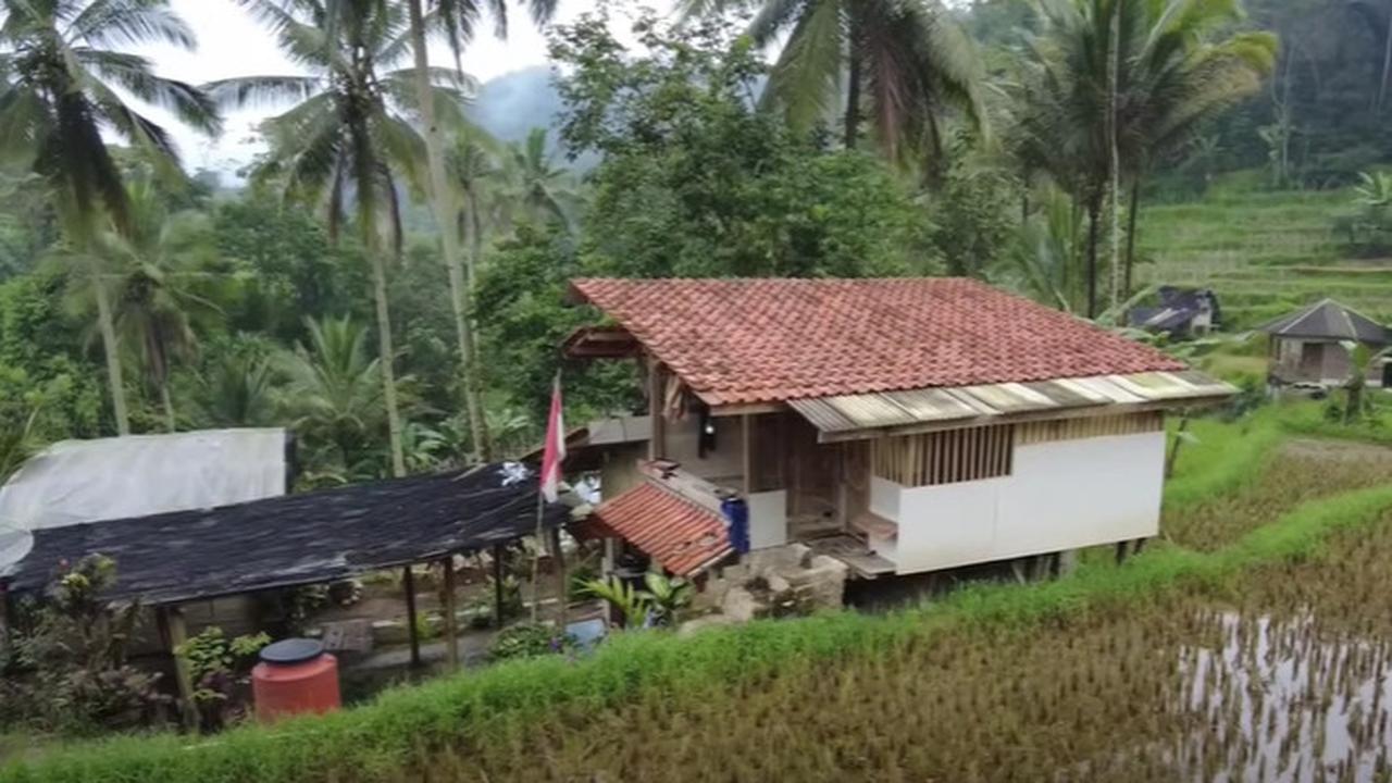 Damai dan Nyaman, Pegawai BUMN Pilih Hidup di Tengan Sawah Sambil Buka Warung Kopi