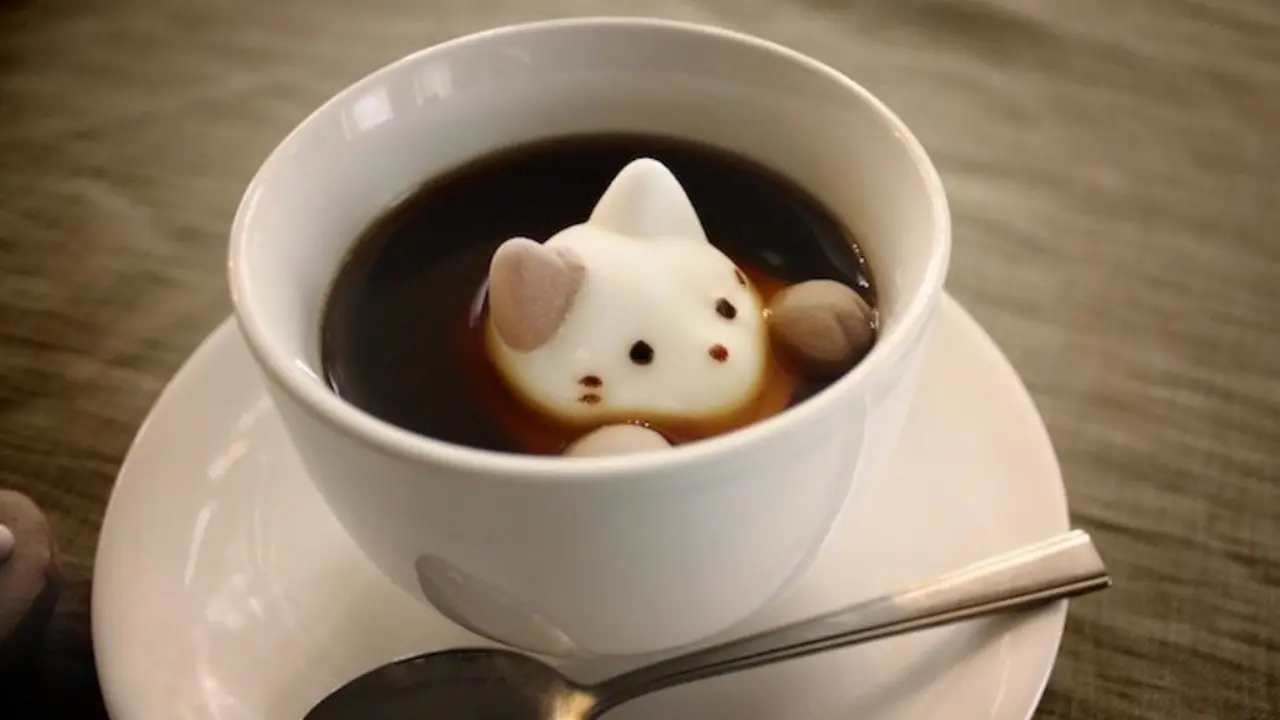 10 Potret 'Kucing' Lucu yang Tenggelam dalam Kopi