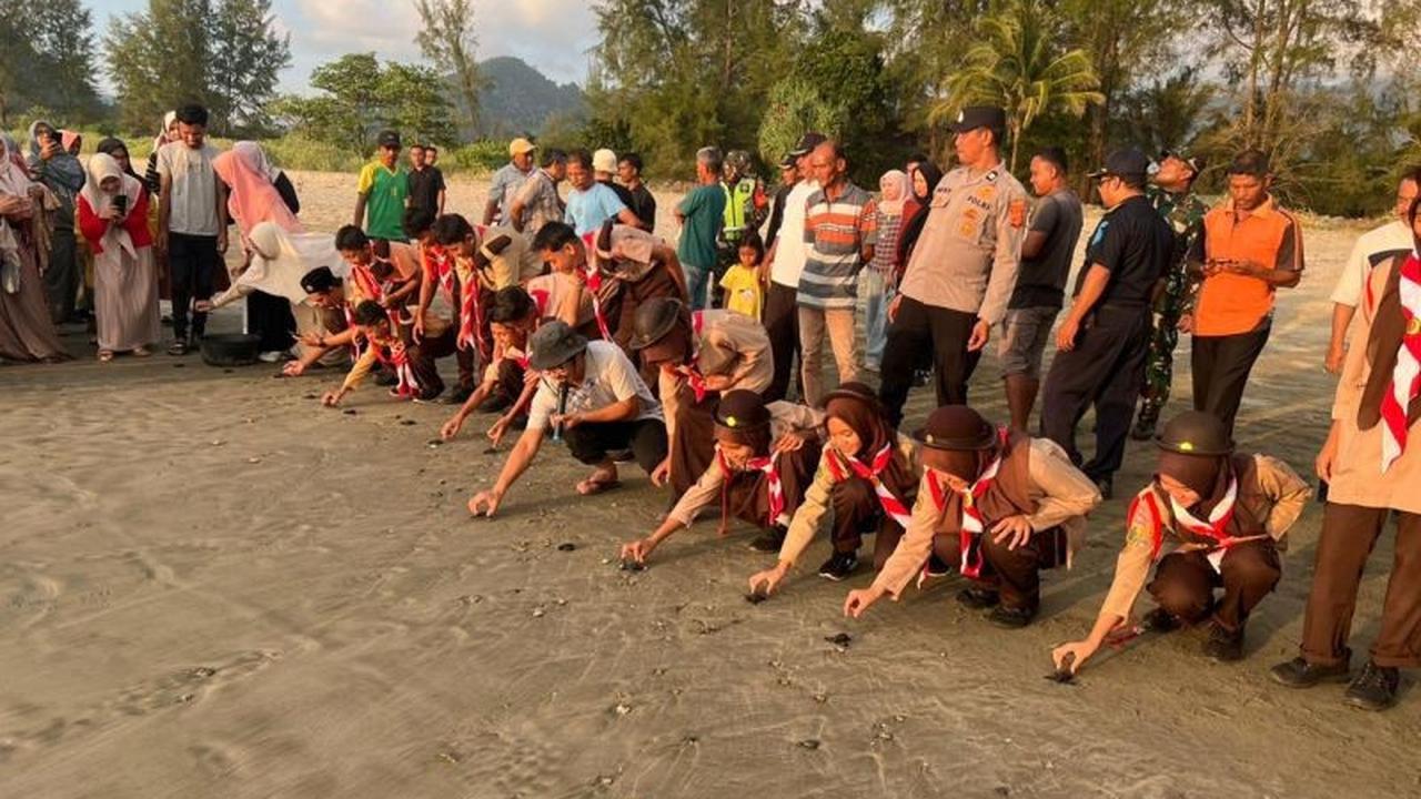 Kelompok Konservasi Lepas 90 Tukik, Perkuat Upaya Konservasi Penyu Aceh di Blangmee