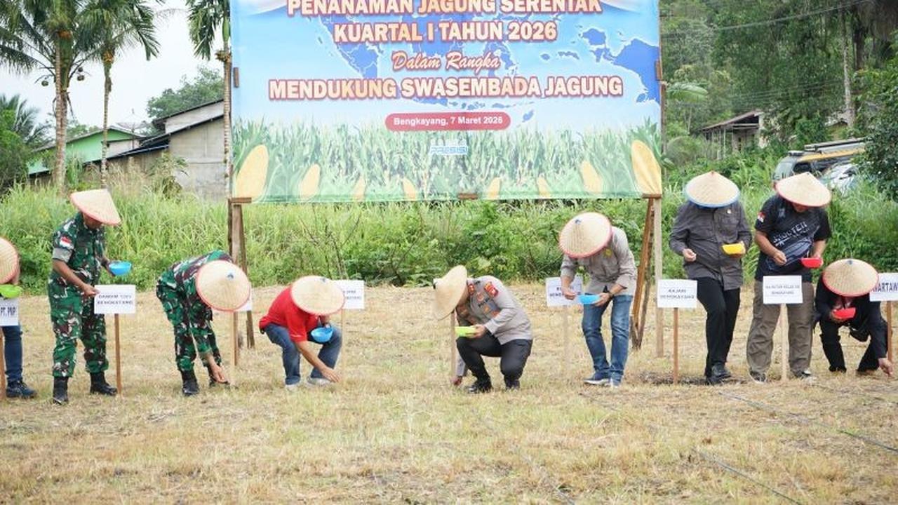 Polres Bengkayang Tanam Jagung 11,95 Ha, Perkuat Ketahanan Pangan Nasional