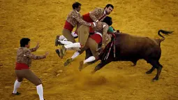 Anggota Chamusca Forcados sedang beraksi melawan seekor banteng di Campo Pequeno, Lisbon, Portugal. Forcados adalah adu banteng tradisional Portugal dimana banteng ditangkap dengan tangan. (Reuters/Rafael Marchante)