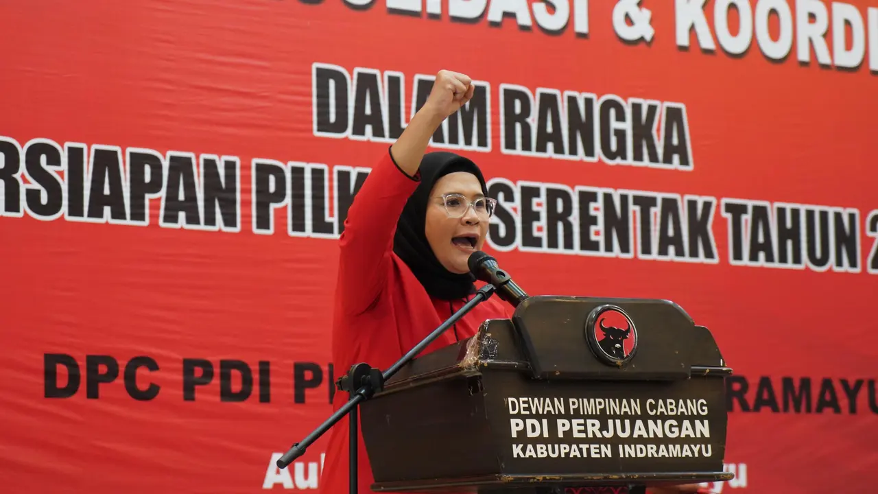 Bupati Indramayu, Nina Agustina