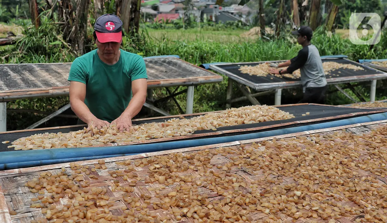 Pekerja menjemur kulit sapi untuk pembuatan kerupuk kulit produksi rumahan di Katulampa, Bogor, Jawa Barat, Sabtu (17/9/2022). Penyaluran kredit usaha rakyat (KUR) makin membesar tahun depan.  Pemerintah akan menaikkan target penyaluran KUR menjadi Rp 460 triliun di 2023. (Liputan6.com/Angga Yuniar)