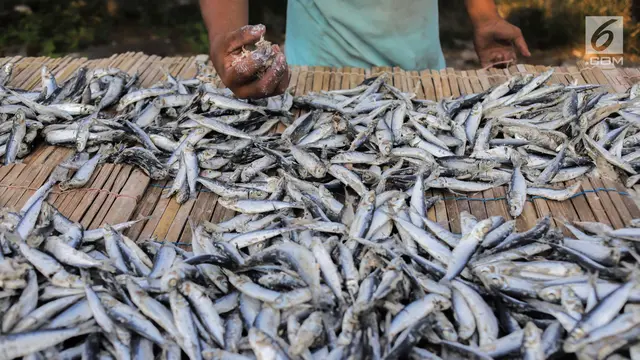 Musim Kemarau, Produksi Ikan Asin Muara Angke Meningkat