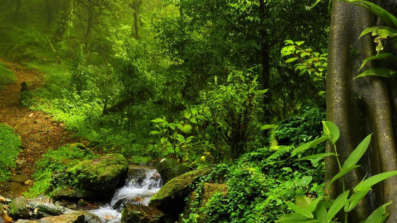 Banyak penjelajah yang nekat memasuki hutan ini telah ditembak mati tanpa ada kabar selanjutnya. Inilah alasan di balik banyaknya nyawa yang telah melayang dalam upaya mencari tahu lebih banyak tentang Paititi.