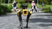 SPOT, robot anjing yang dapat mendeteksi apakah pengunjung memakai masker atau tidak menjalani uji coba putaran keduanya di Bishan Park Singapura, 22 September 2020. Uji coba ini bagian dari upaya melawan penyebaran COVID-19. (Xinhua/Then Chih Wey)