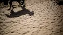 Siluet seekor kuda terlihat di pasir sebelum mengikuti lomba pacuan kuda di sepanjang pantai di Sanlucar de Barrameda, Spanyol pada 11 Agustus 2019. Balap kuda di tepi pantai ini merupakan acara tahunan yang telag berlangsung selama lebih dari 140 tahun. (AP Photo/Javier Fergo)