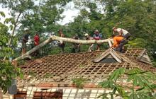 BPBD Lampung Perkuat Sistem Peringatan Dini Antisipasi Potensi Megatrust Lampung