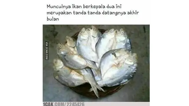 6 Menu Makan Ikan di Akhir Bulan Ini Bikin Geleng Kepala