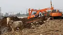Sejumlah ekskavator digunakan untuk mengeruk lumpur di tepi Kanal Banjir Barat, Jakarta, Kamis (26/11/2015). Guna mengantisipasi terjadinya banjir saat musim penghujan, Pemprov DKI Jakarta melakukan pengerukan lumpur. (Liputan6.com/Immanuel Antonius)