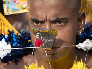 Seorang pria menusuk pipinya dengan batang logam saat Festival Thaipusam di Gua Batu, Kuala Lumpur, Malaysia, Senin (21/1). Prosesi tahunan ini dirayakan oleh umat Hindu di seluruh dunia untuk menghormati Dewa Murugan. (AP Photo/ Vincent Thian)