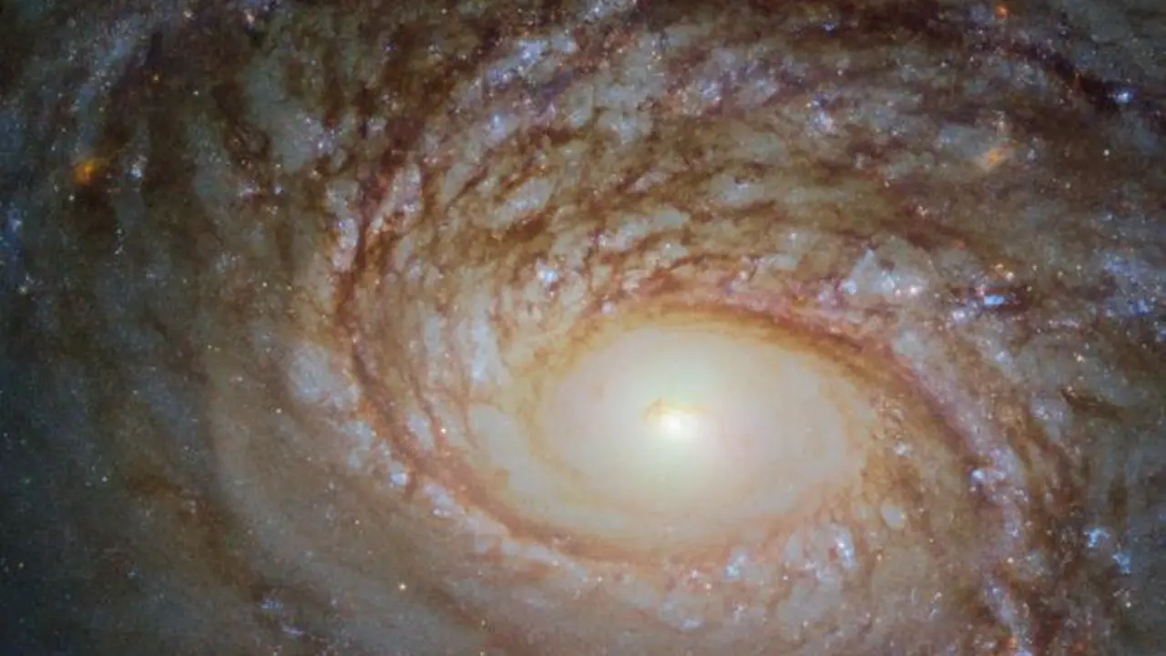 Galaksi Spiral yang disebut NGC 772. (ESA/HUBBLE & NASA, A. SETH ET AL.)