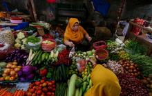 Harga Pangan dari Beras, Daging, Ikan hingga Bumbu Meroket, Cabai Tembus Rp65.650 per Kg