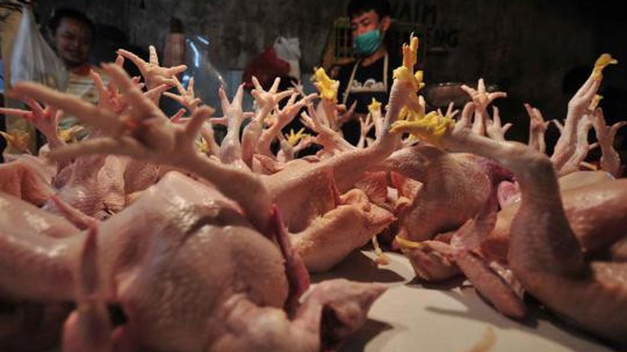 Jelang lebaran, harga daging sapi dan ayam terus meroket