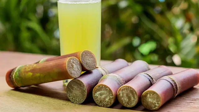 6 Manfaat Rutin Mengonsumsi Jus Tebu, dari Obat Sakit Kuning hingga Tingkatkan Imunitas