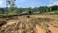 Curhat Petani di Sukabumi: Mau Panen, 4 Hektare Sawahnya Malah Ludes Disapu Banjir