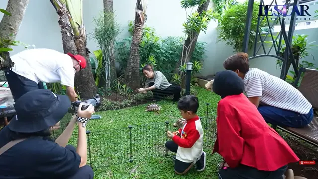 Potret Taman Rumah Lesti Kejora yang Minimalis