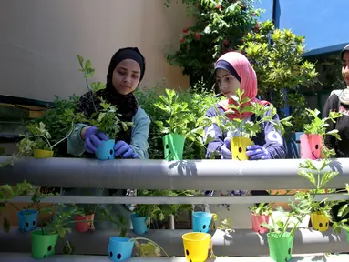 Anak-anak Palestina merawat tanaman dalam cangkir plastik di Pusat Anak-Anak Al-Qattan, Gaza City, Senin (20/7/2020). Anak-anak Palestina belajar bagaimana memanfaatkan kembali botol dan wadah plastik bekas untuk dekorasi taman. (Xinhua/Rizek Abdeljawad)