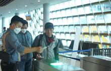 Ribuan Kendaraan Terlayani, Penyeberangan Lancar ASDP Selama Libur Maulid Nabi 2025: Ini Kuncinya!