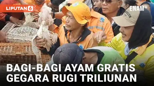 VIDEO: Rugi Terus, Komunitas Peternak Unggas Nasional Bagikan Ribuan Ayam di Patung Kuda Gambir