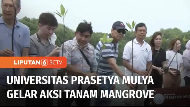 Sebagai upaya untuk menjaga lingkungan, Universitas Prasetya Mulya, menanam mangrove di Kawasan Taman Wisata Alam Mangrove Angke, Kapuk, Jakarta Utara. Kegiatan ini bertujuan untuk meningkatkan kepedulian para calon wisudawan terhadap pentingnya kons...