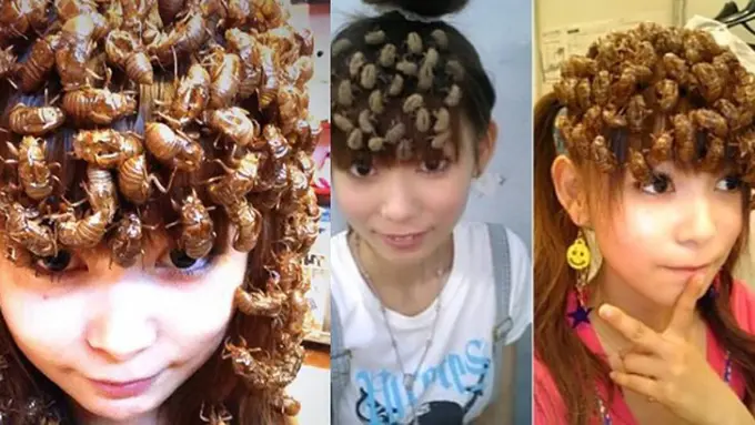 Photo copyright Stomp.com