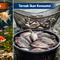ternak ikan hias vs ikan konsumsi, mana yang lebih cuan? (AI)