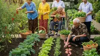 7 Ide Kebun Sayur di Panti Jompo, Panen untuk Berbagi dan Pemberdayaan Lansia