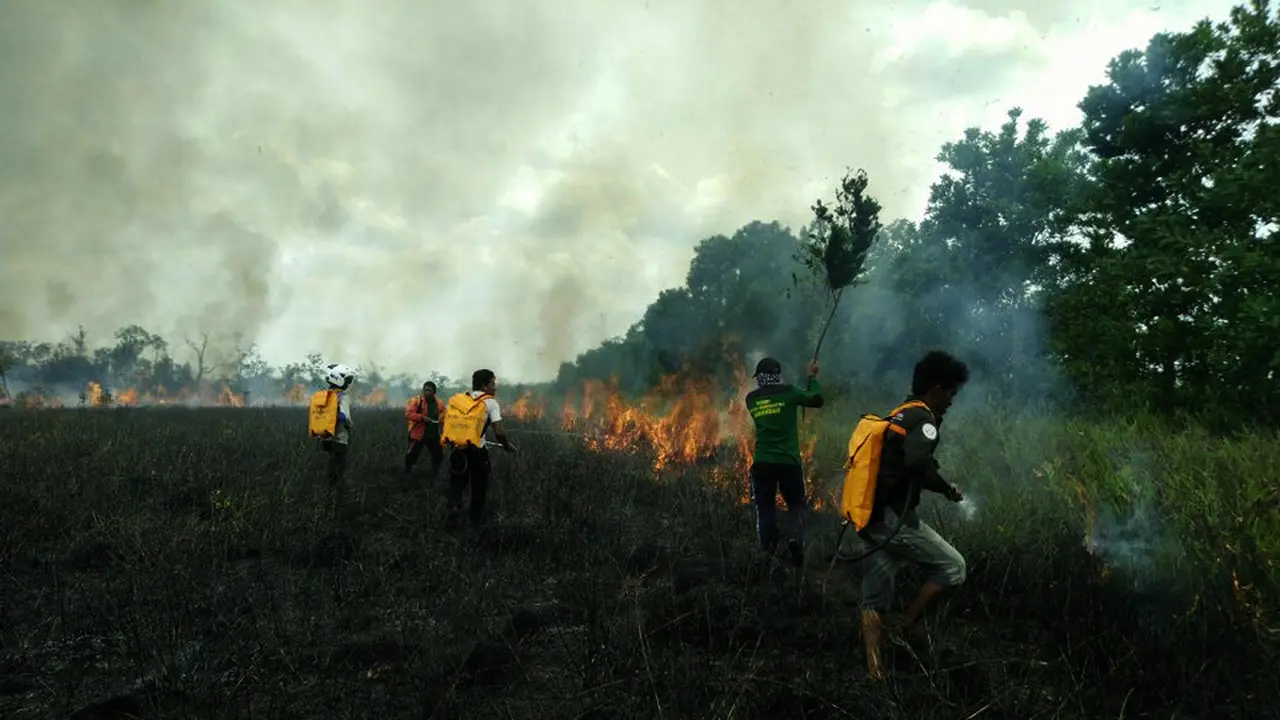 Karhutla Kalteng