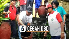 Penyakit Demam berdarah Dengue (DBD) mengintai saat memasuki musim hujan. DBD bisa dicegah dengan menjauh dari terpapar gigitan nyamuk Aedes aegypti.