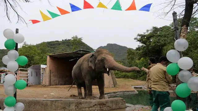 Kaavan tiba di cagar alam Kamboja