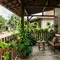 7 Ide Teras Rumah dengan Sirih Gading dan Pagar Kayu, Desain Estetik Bikin Nyaman