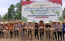 Fakta Unik: Polres Pasaman Barat Tanam Jagung 250 Hektare, Dukung Swasembada Pangan Nasional dengan Target 223 Ribu Ton