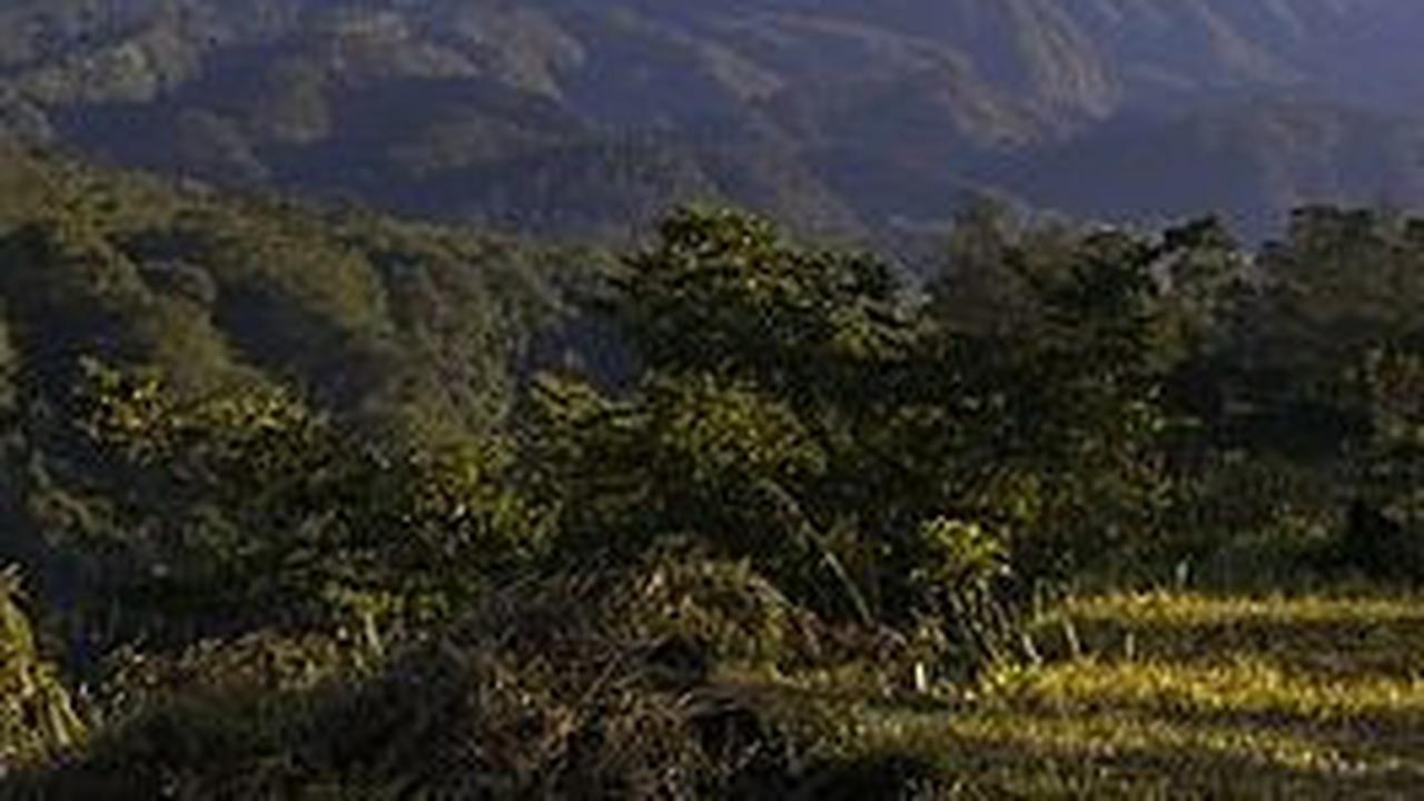 Melihat Lebih Dekat Fenomena Gugurnya Lava Pijar Merapi, Bikin Merinding
