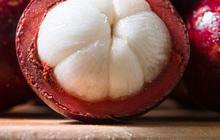 Lagi Musim, Begini Manfaat dan Cara Memilih Buah Manggis yang Segar dan Manis