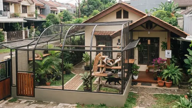 9 Desain Pagar Pekarangan yang Aman untuk Kucing agar Tidak Mudah Keluar