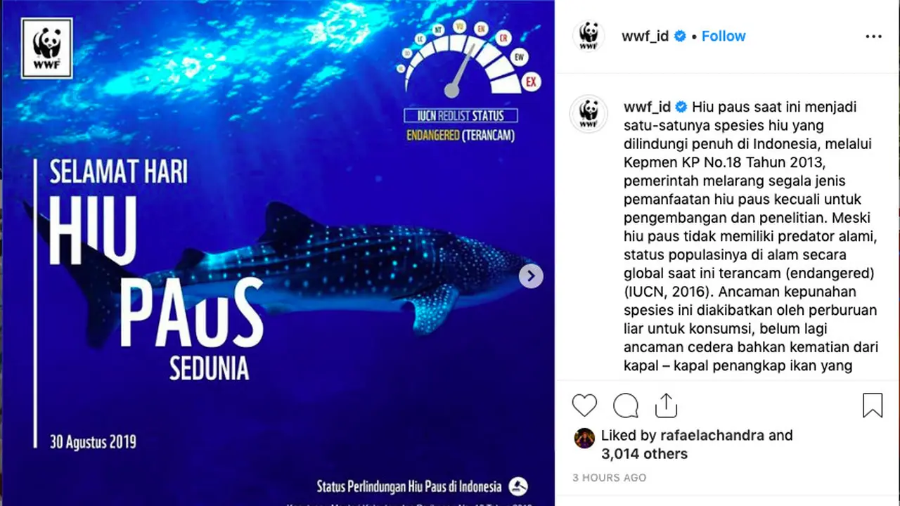 instagram @wwf_id