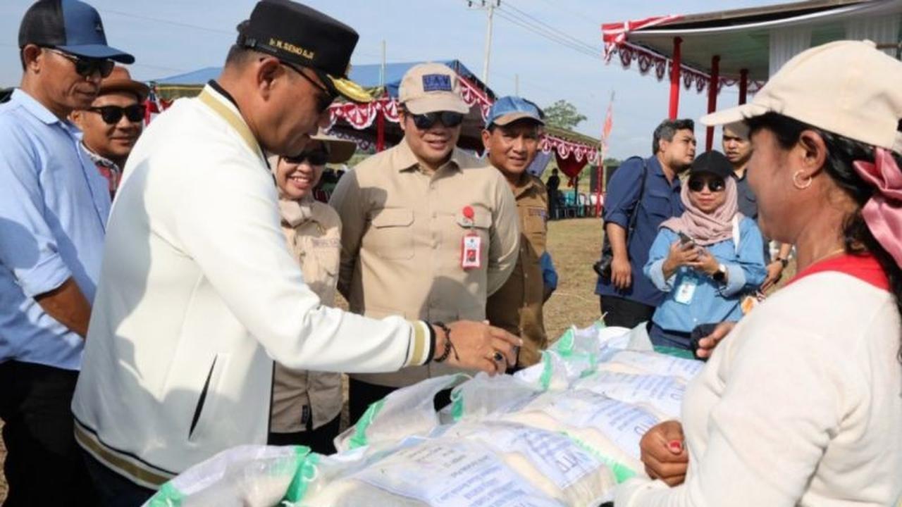 Trivia: 74 Hektare Lahan Produktif Eks Tambang di Kukar Disulap Jadi Sawah, Panen Tiga Kali Setahun!