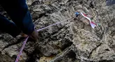 Seorang pemanjat menaiki  tebing saat pemasangan bendera merah putih pada tebing di Lhoknga, Aceh, Kamis,  13 Agustus 2026.