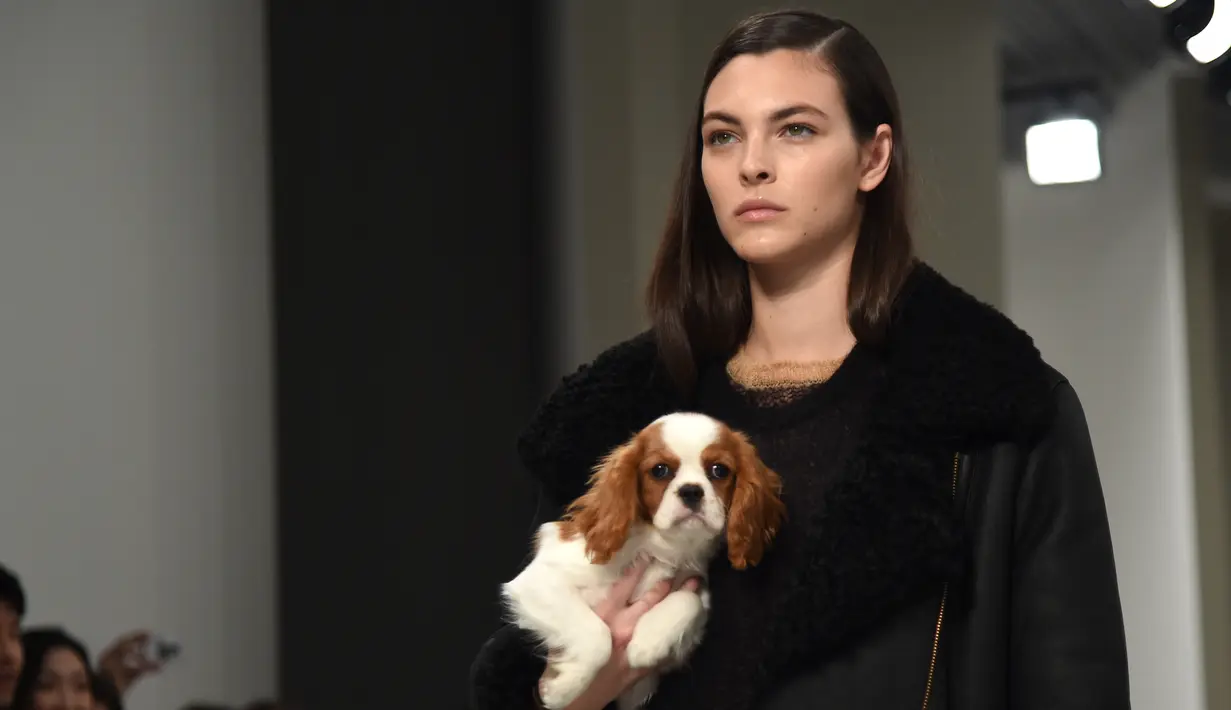 Seorang model menggendong anak anjing saat memamerkan rancangan Tod's di Milan Fashion Week, Milan, Italia, Jumat (23/2). Selain Gigi Hadid, model Tod's lainnya juga membawa anak anjing saat tampil di Milan Fashion Week. (Filippo MONTEFORTE/AFP)