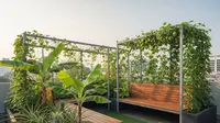 8 Inspirasi Desain Kebun Buah di Rooftop Rumah yang Modern dan Produktif untuk Hunian Masa Kini