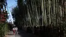 Wisatawan mengenakan kimono berjalan-jalan di Hutan Bambu Sagano di Arashiyama, Kyoto, Jepang pada 8 Desember 2018. Hutan seluas 16 km2 ini dinobatkan sebagai salah satu hutan terbaik di dunia. (Behrouz MEHRI / AFP)