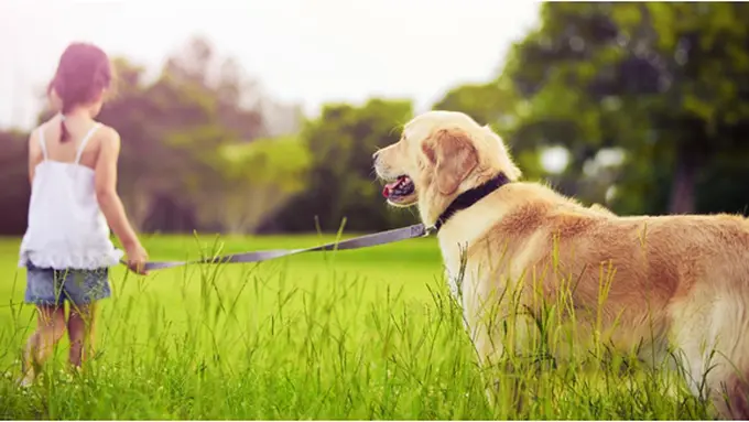 Courtesy ShutterStock.com