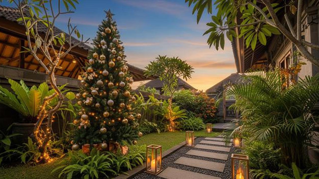Alasan Cemara Selalu Menjadi Pohon Natal: Simbol Kehidupan, Harapan, dan Iman yang Tak Pernah Padam