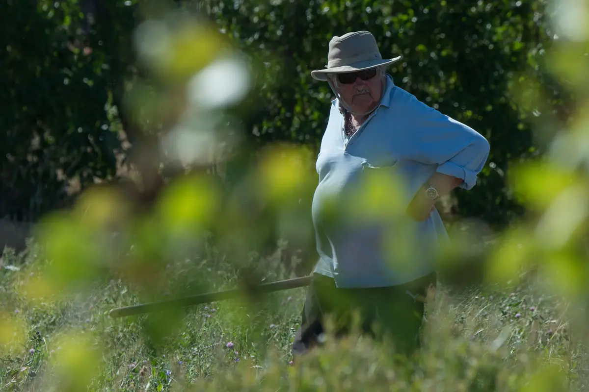 Jose Mujica